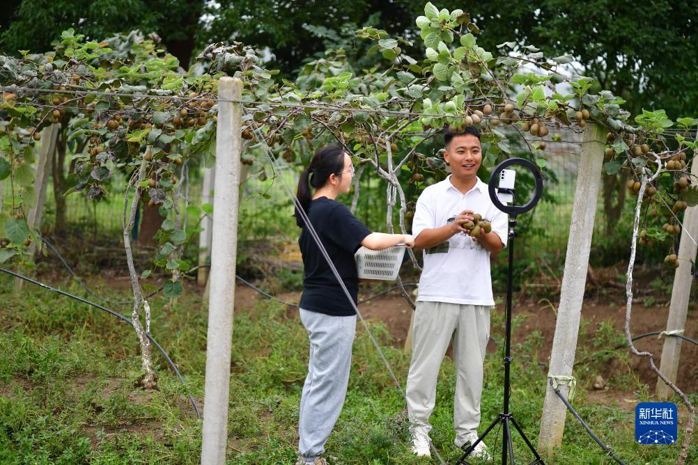 免费打鱼送分客服微信